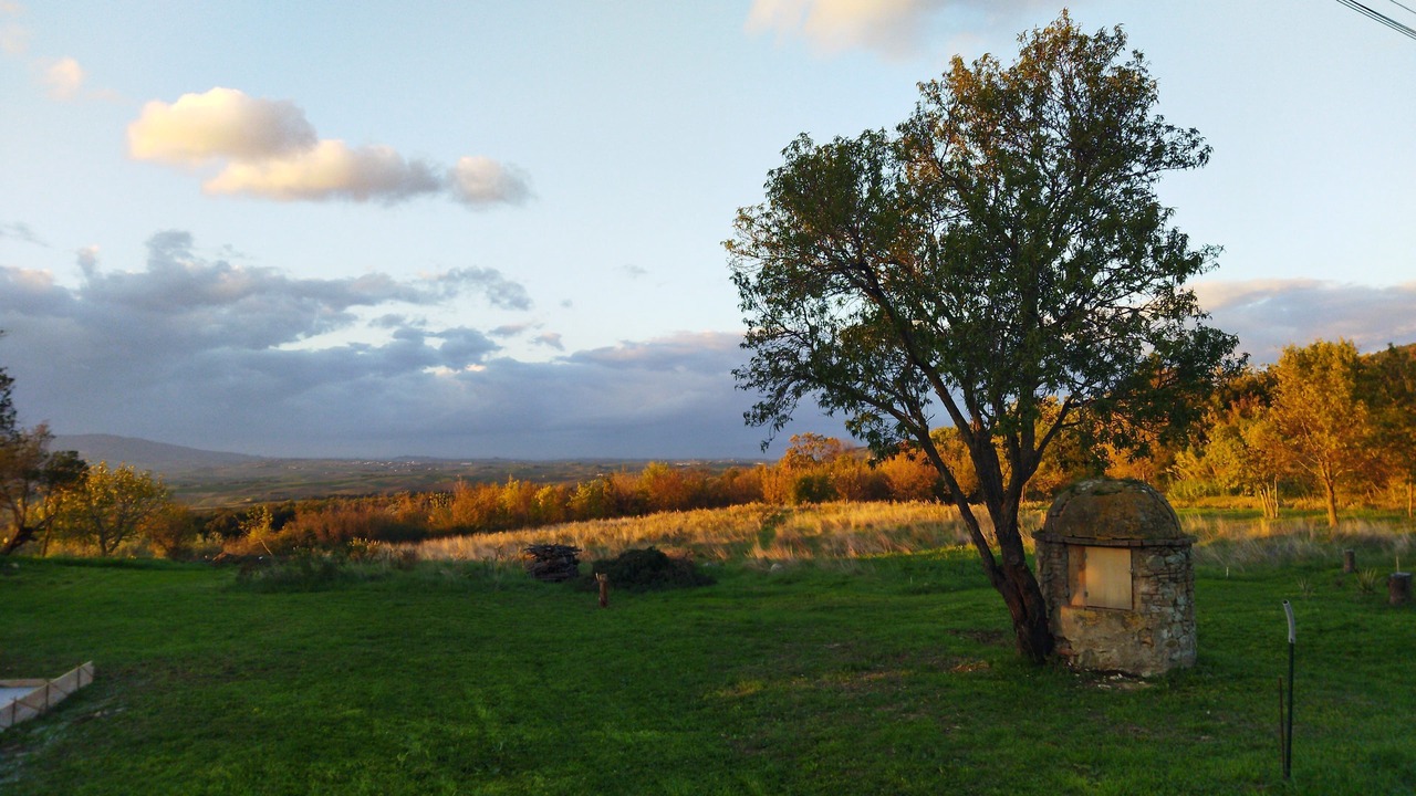 Photo of Others in Castellina Marittima