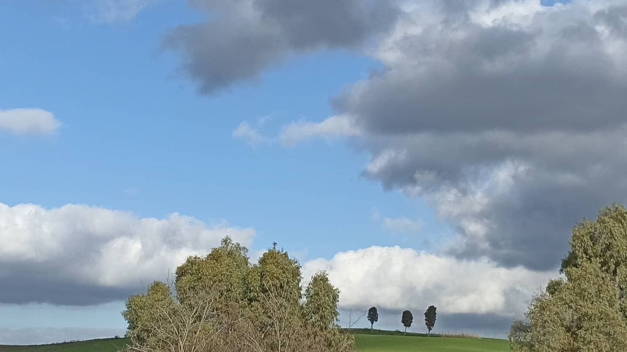 Photo of Others in Castellina Marittima