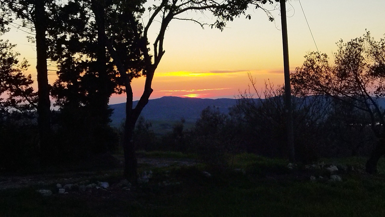 Photo of Others in Castellina Marittima
