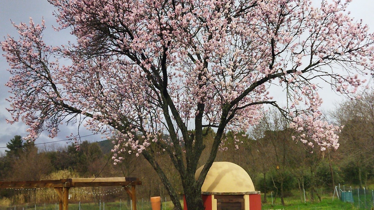 Photo of Outdoor in Castellina Marittima