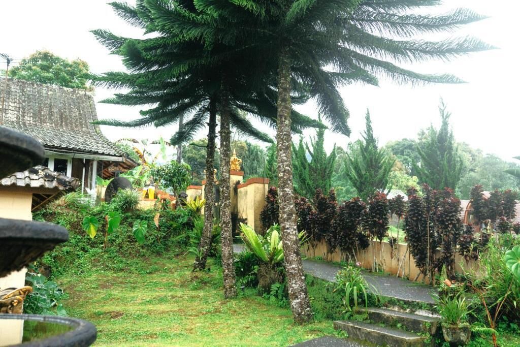 Photo of Outdoor in Batunya