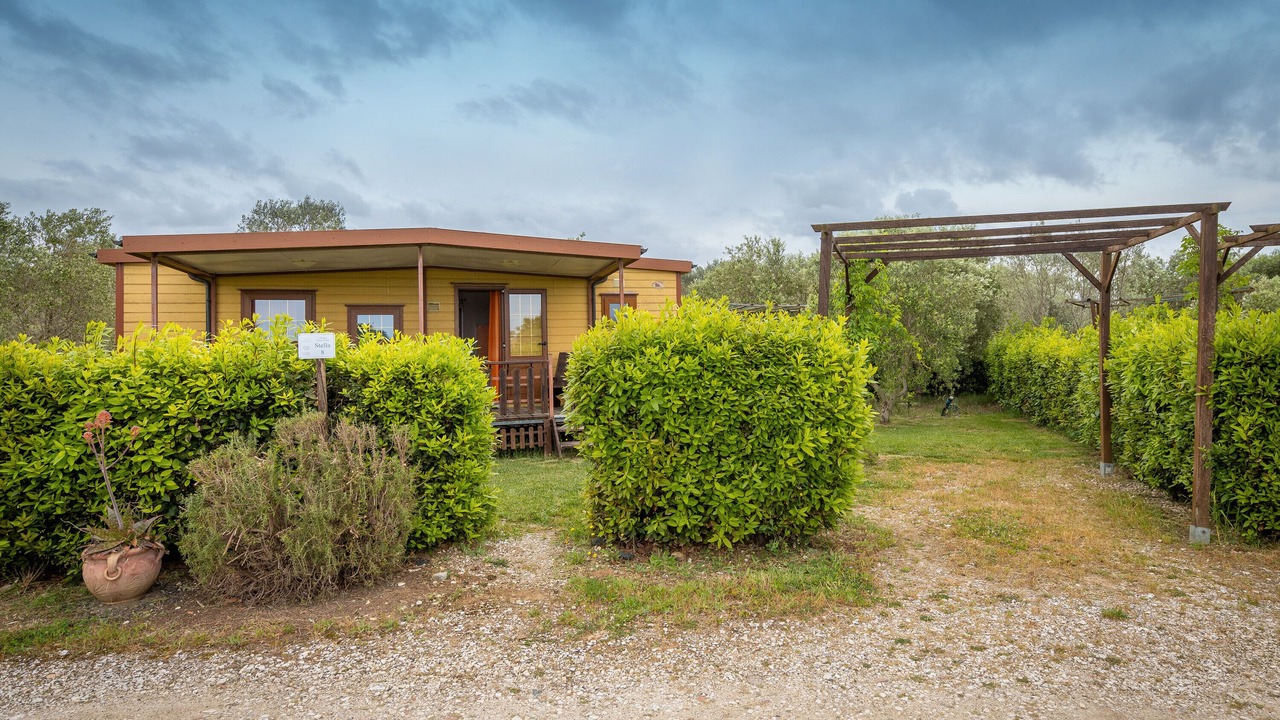 Photo of Outdoor in Bibbona