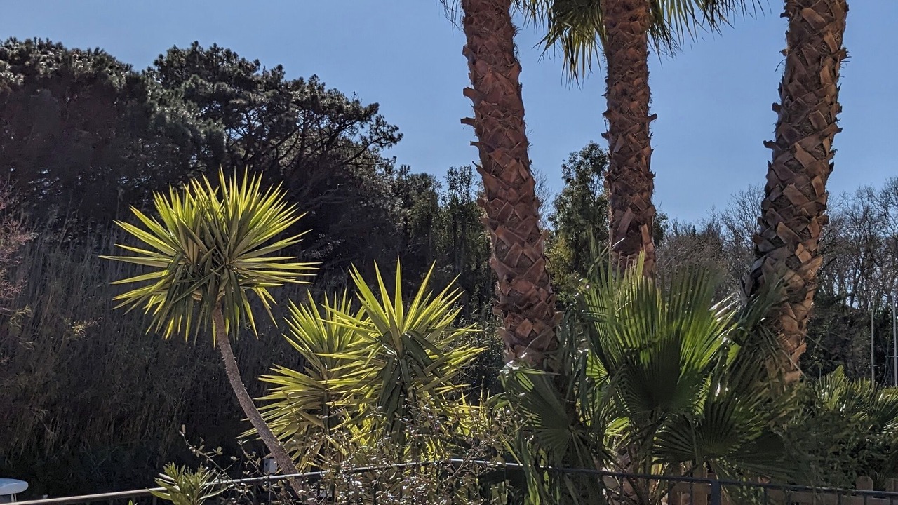 Photo of Outdoor in Port Cogolin