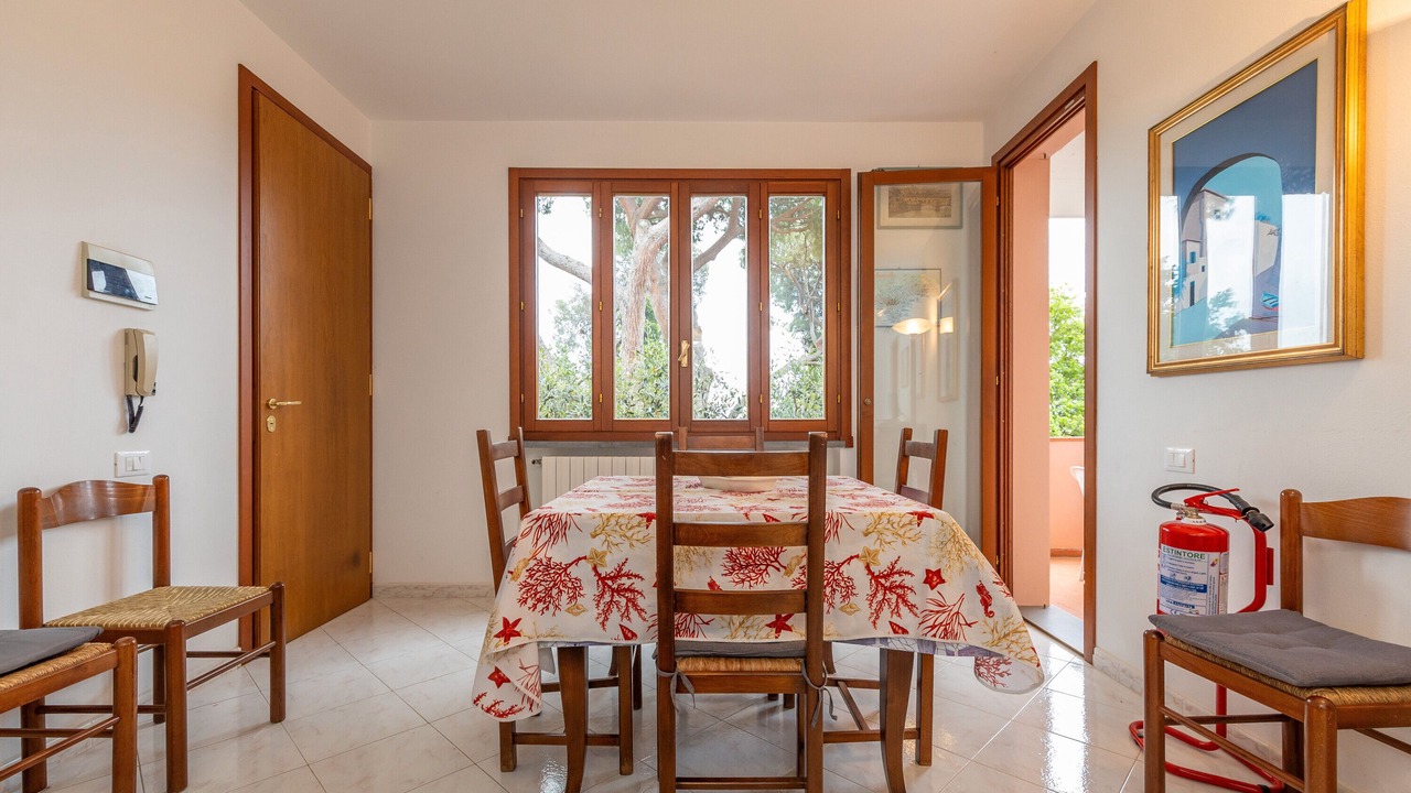 Photo of Others in Castiglioncello