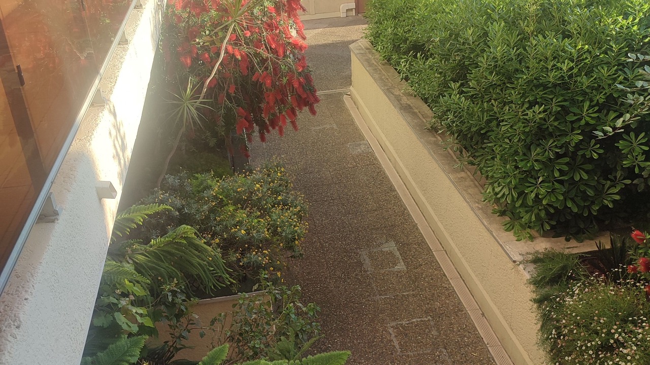 Photo of Outdoor in Saint-Roch