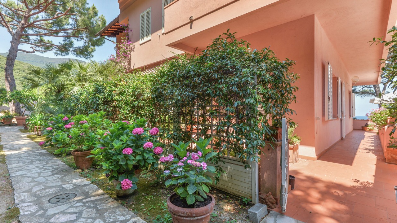 Photo of Outdoor in Procchio