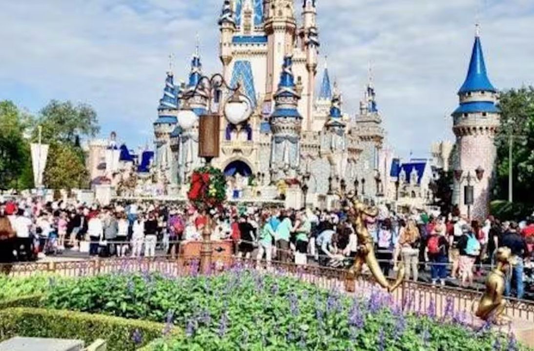 Photo of Others in Orlando