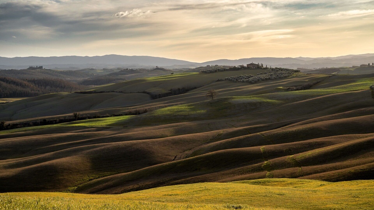 Photo of Outdoor in Monteroni d'Arbia