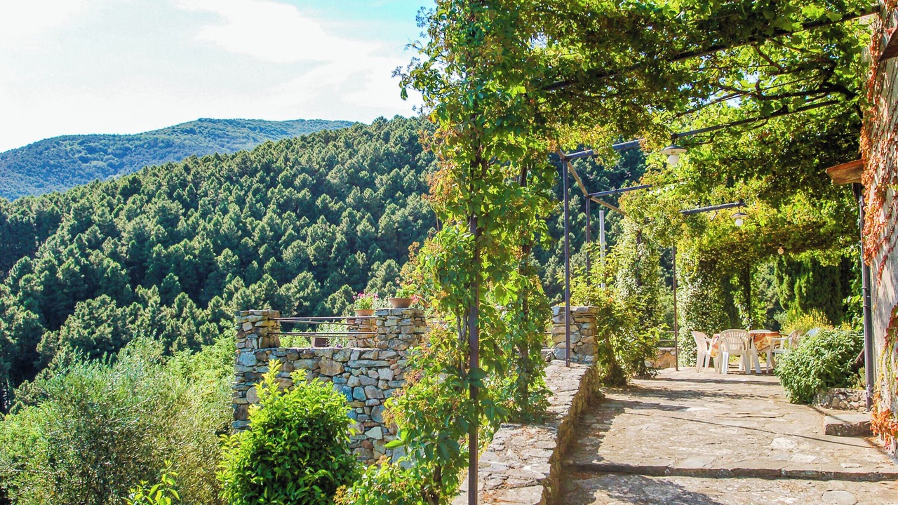 Photo of Outdoor in Buti