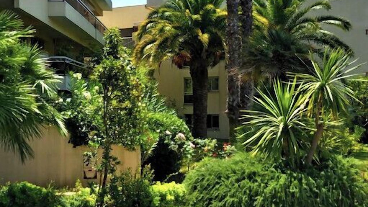 Photo of Outdoor in Cimiez
