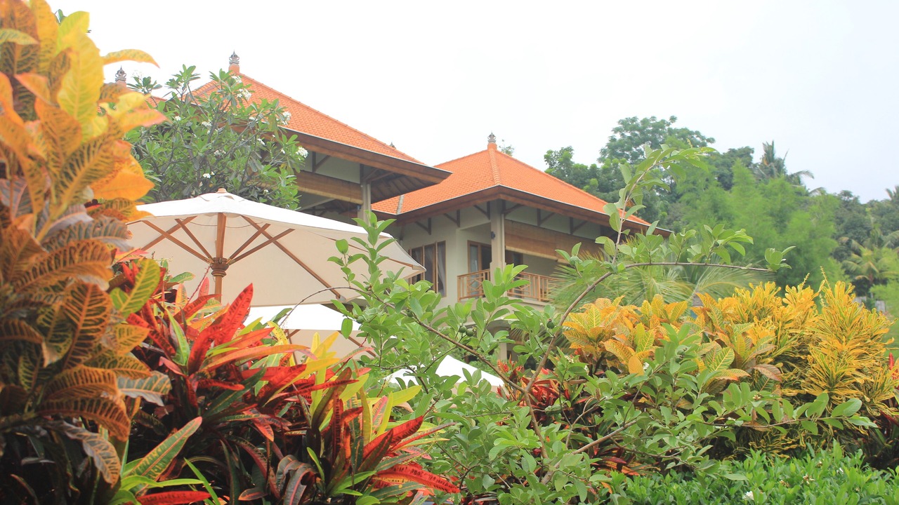 Photo of Outdoor in Kayu Putih
