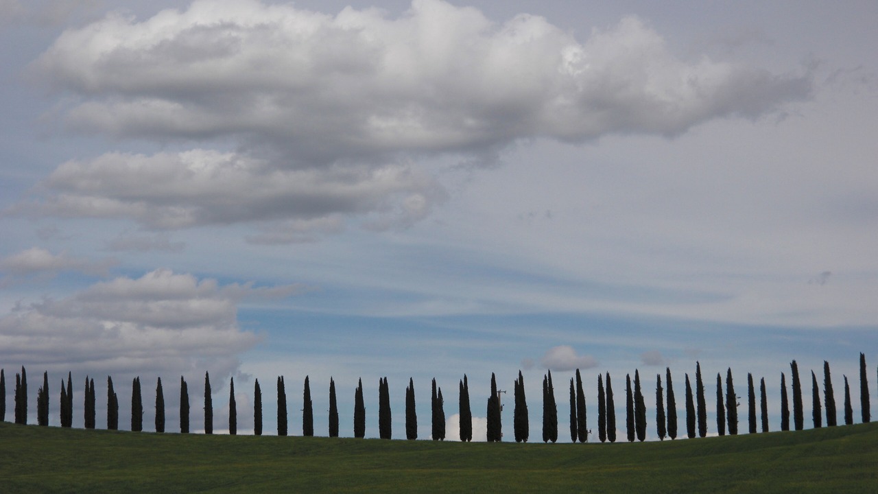 Photo of Others in San Quirico d'Orcia
