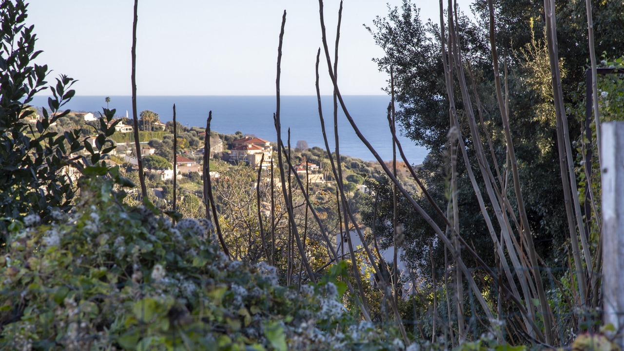 Photo of Outdoor in Ventabrun