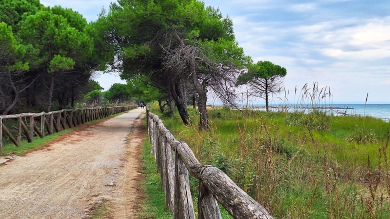 Photo of Others in Bibione Lido dei Pini