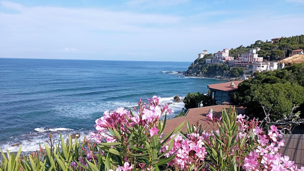 Photo of Others in Castiglioncello