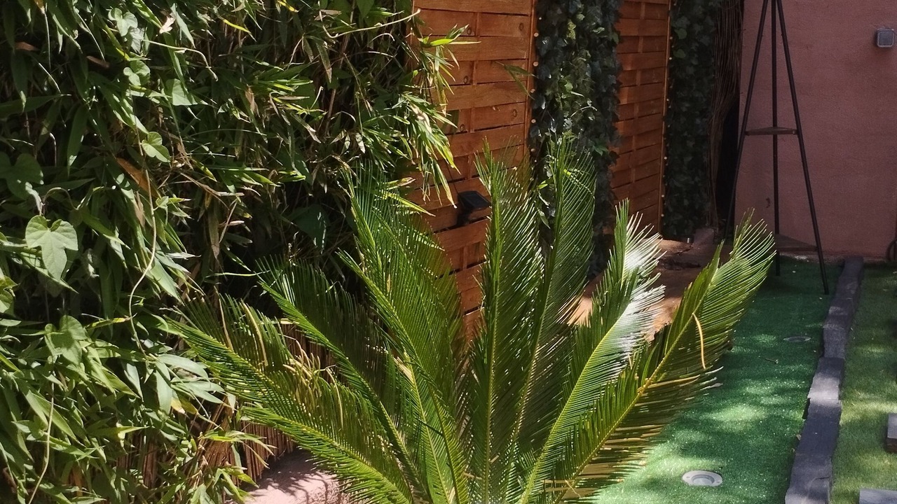 Photo of Outdoor in Les Adrets-de-l'Esterel