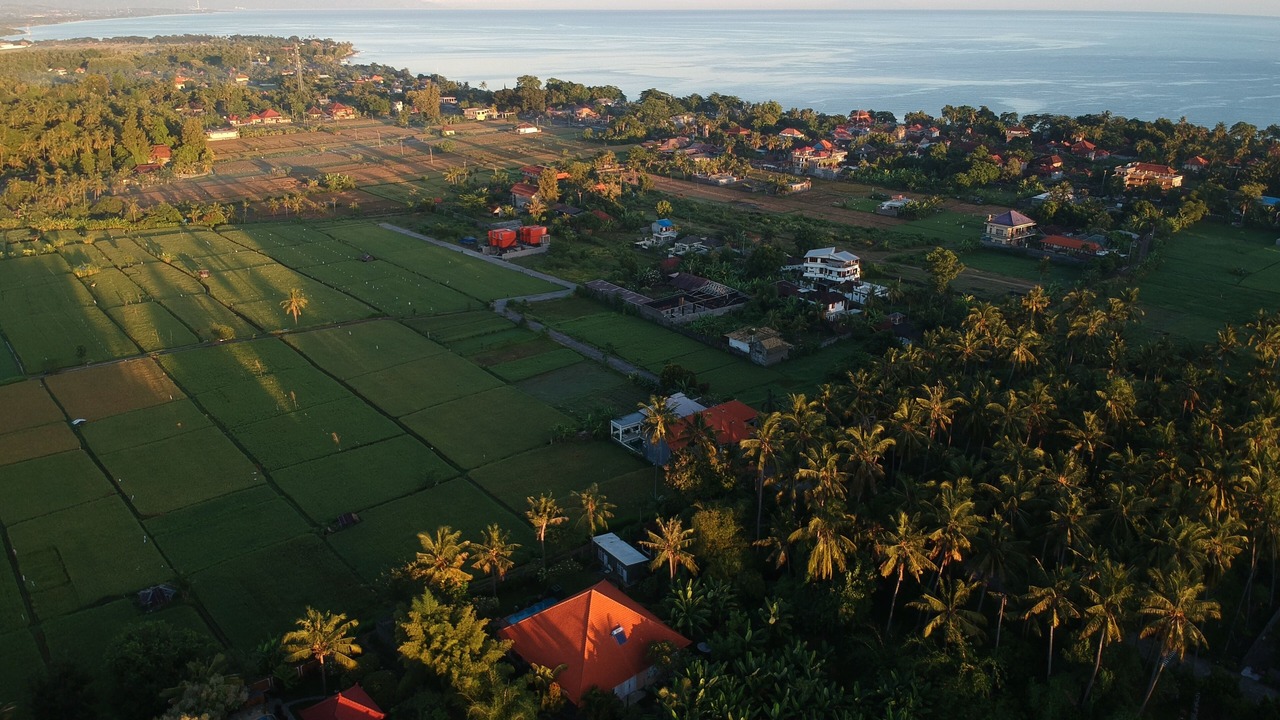 Photo of Outdoor in Lovina