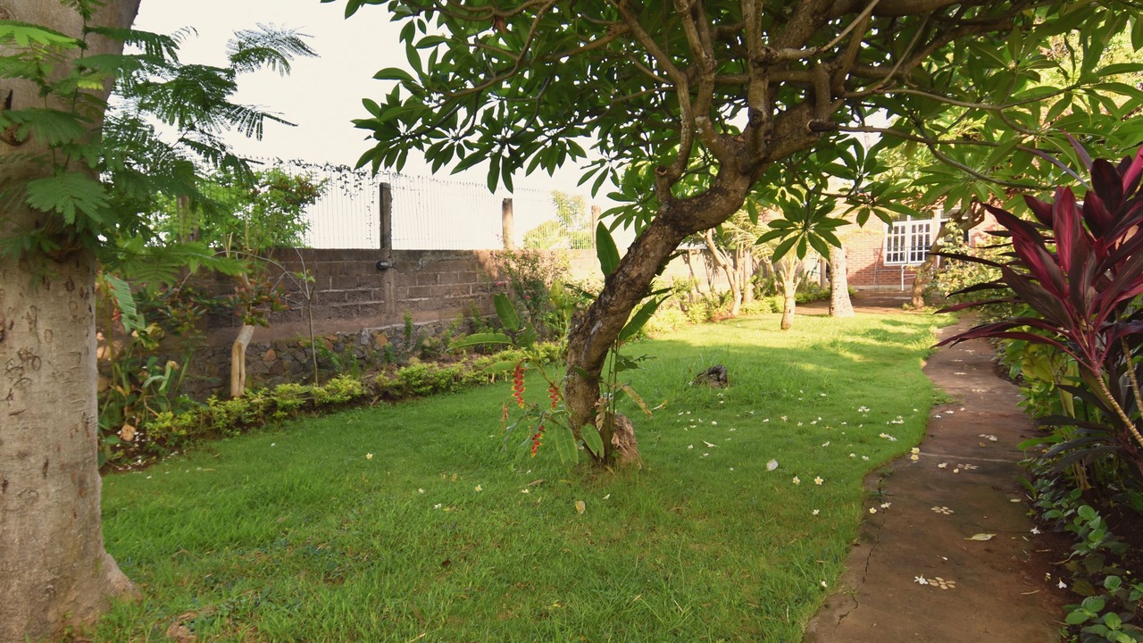 Photo of Outdoor in Lovina