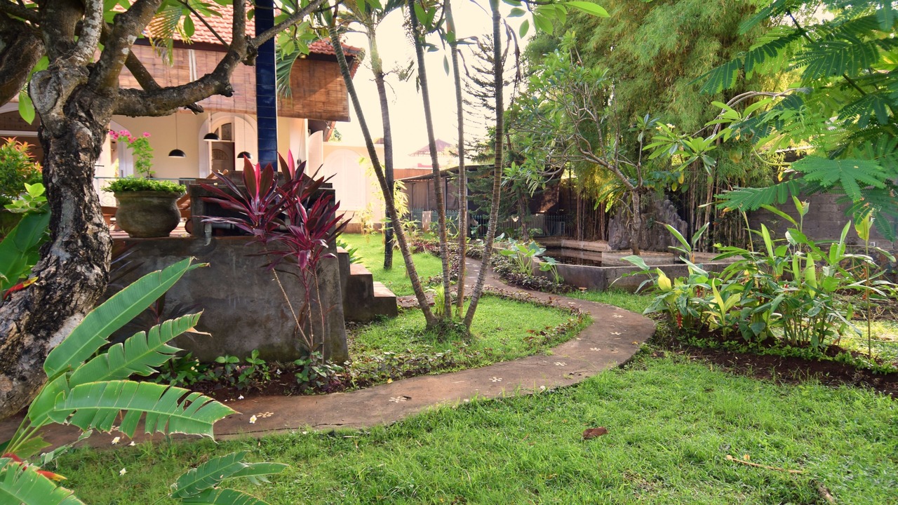 Photo of Outdoor in Lovina