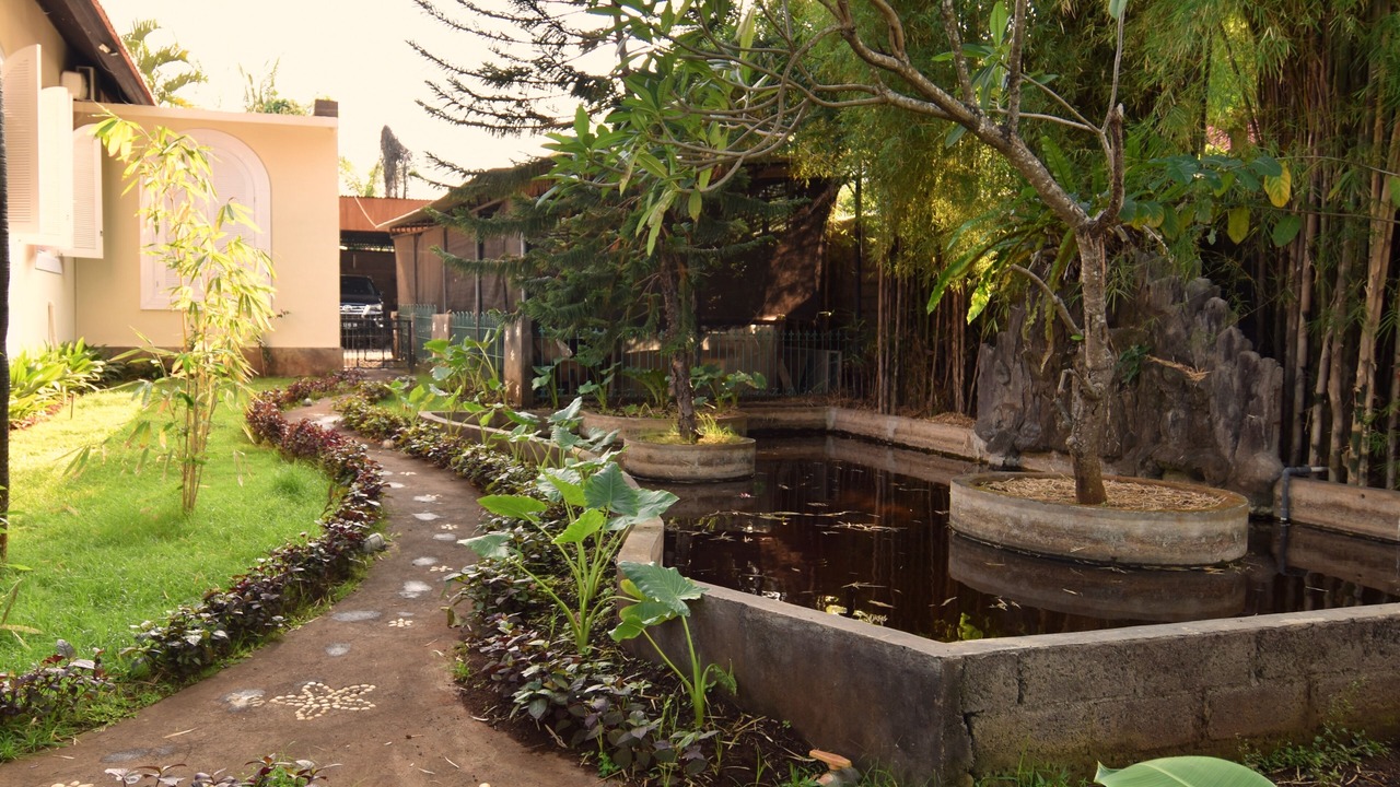 Photo of Outdoor in Lovina