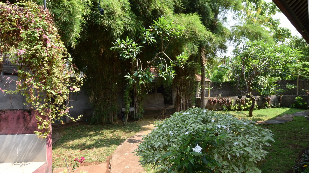 Photo of Outdoor in Lovina