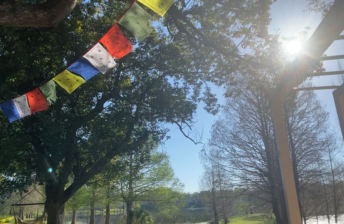 Photo of Others in Mariner's VIllage