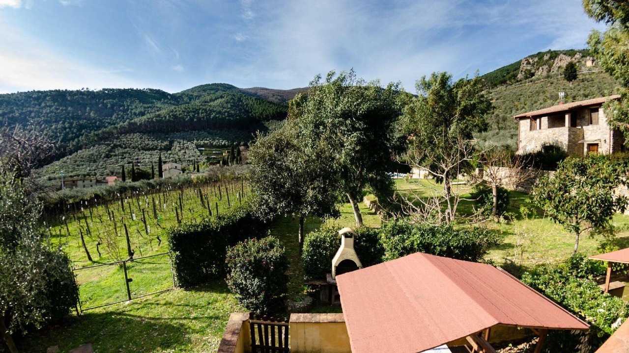 Photo of Outdoor in Buti