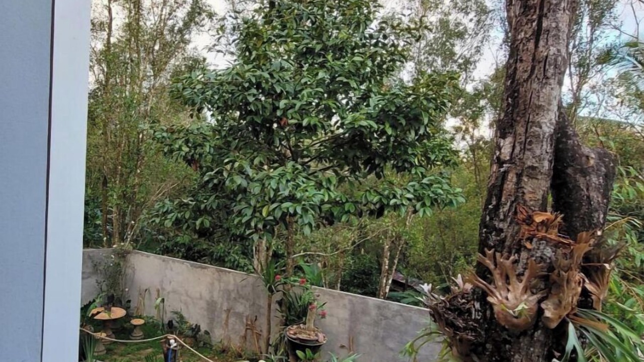 Photo of Outdoor in Gobleg