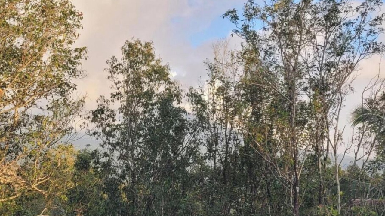 Photo of Outdoor in Gobleg