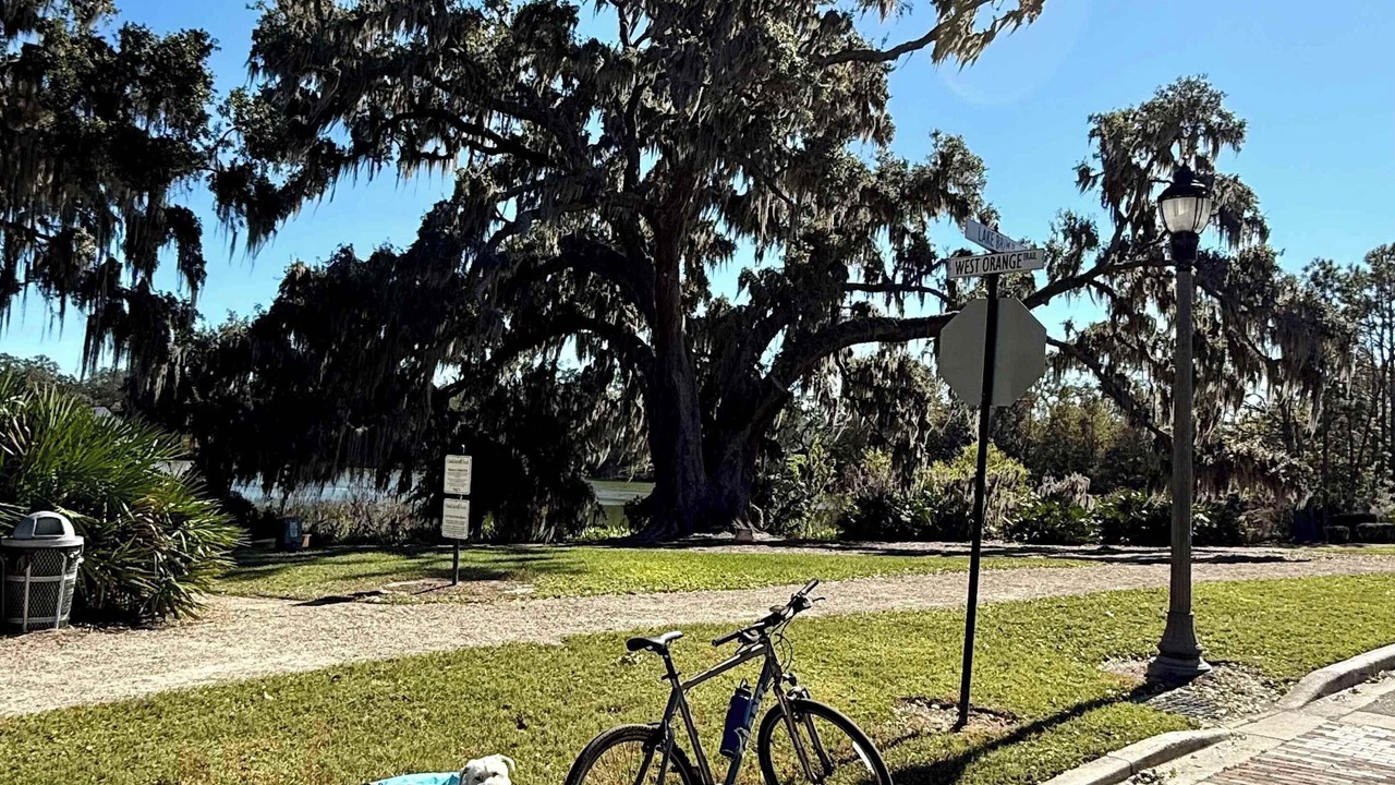 Photo of Outdoor in Winter Garden