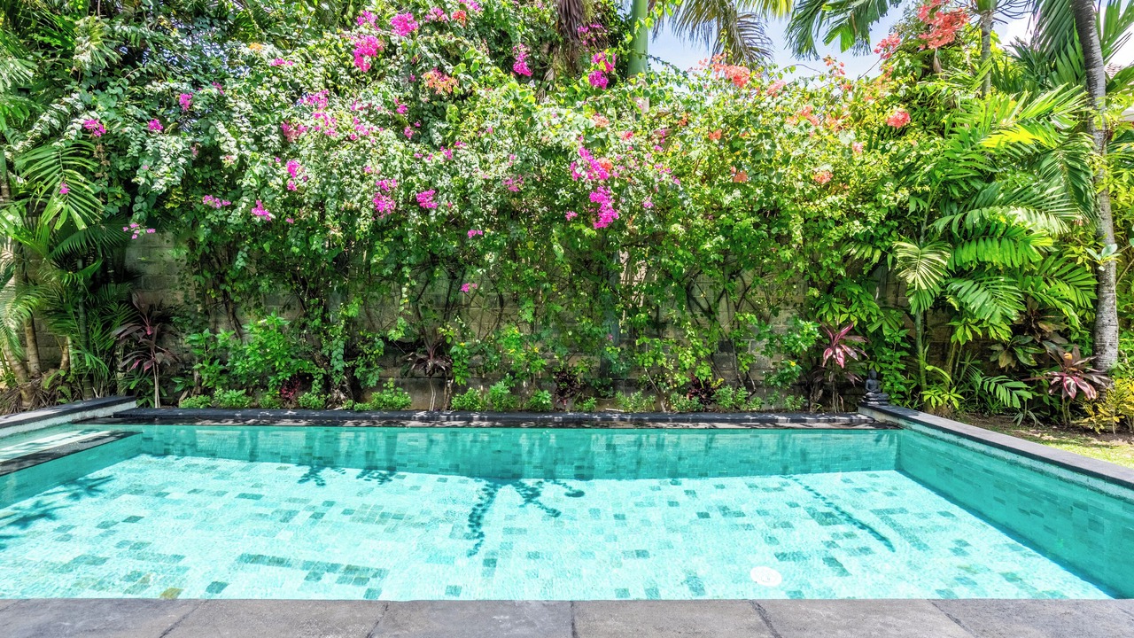 Photo of Outdoor in Drupadi