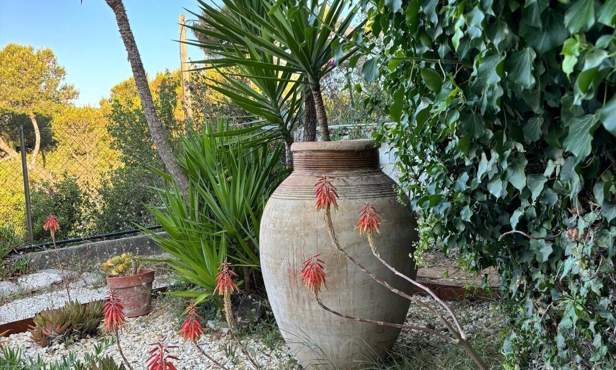 Photo of Outdoor in Tourrette-Levens