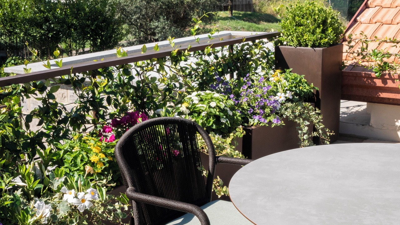 Photo of Outdoor in Sant'Agnello