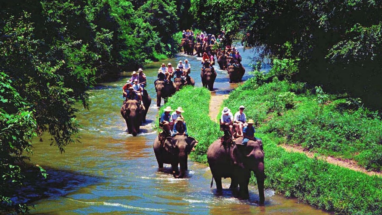 Photo of Others in Kedewatan