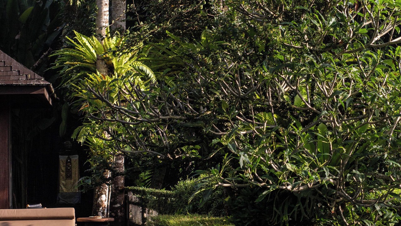 Photo of Outdoor in Kedewatan