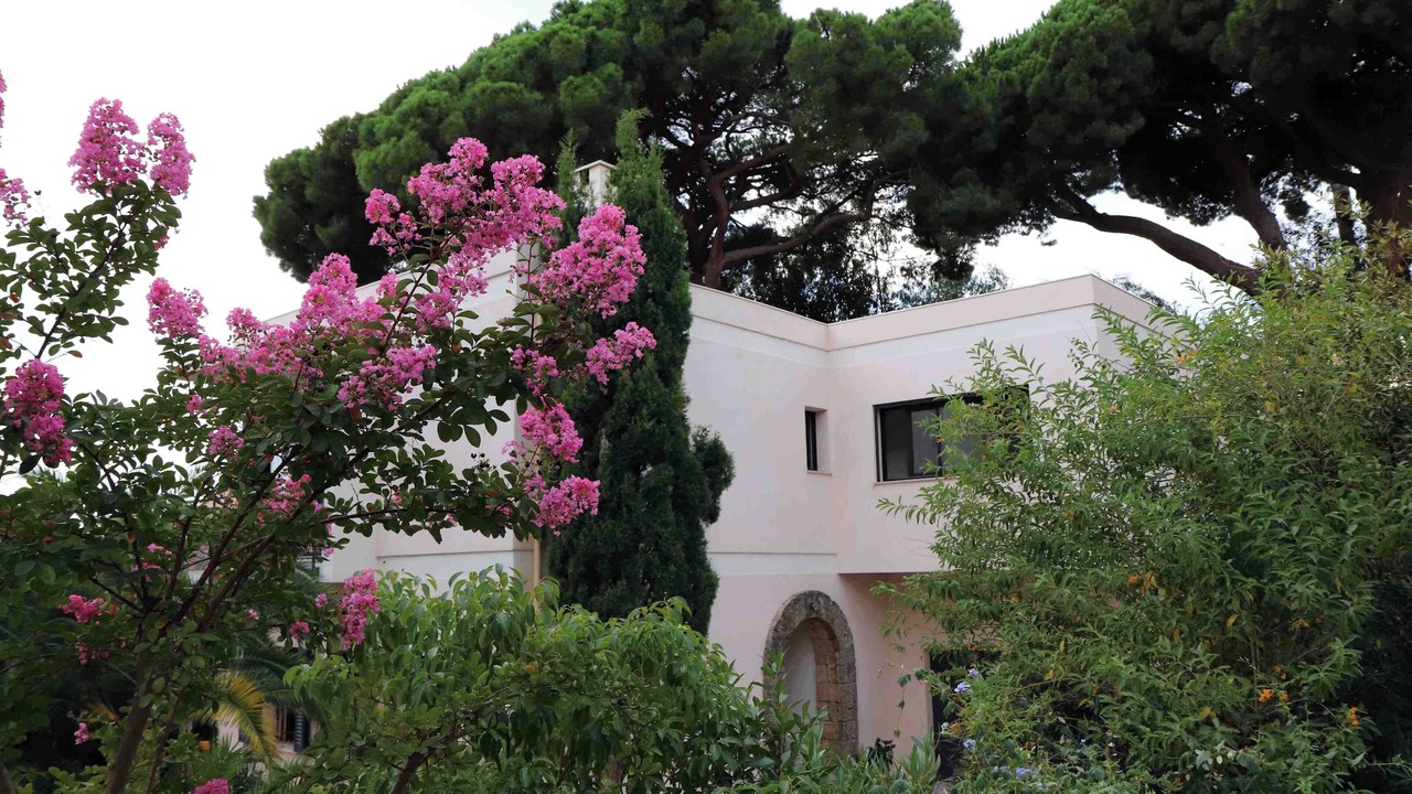Photo of Outdoor in Cannes