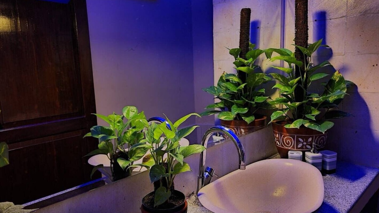 Photo of Bathroom in Lovina