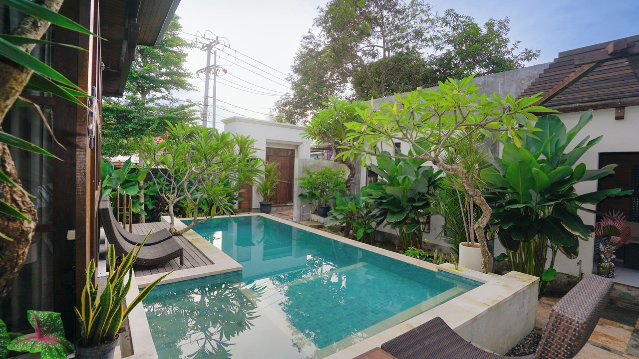 Photo of Outdoor in Mushroom Bay