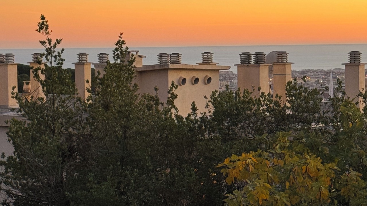 Photo of Others in Nice