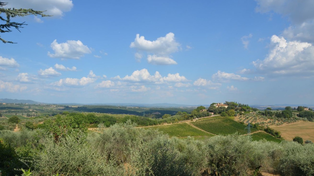 Photo of Others in Siena