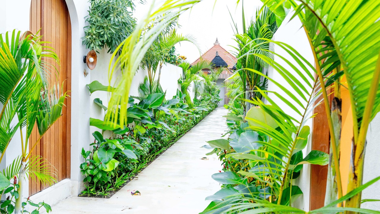 Photo of Outdoor in Mengwi