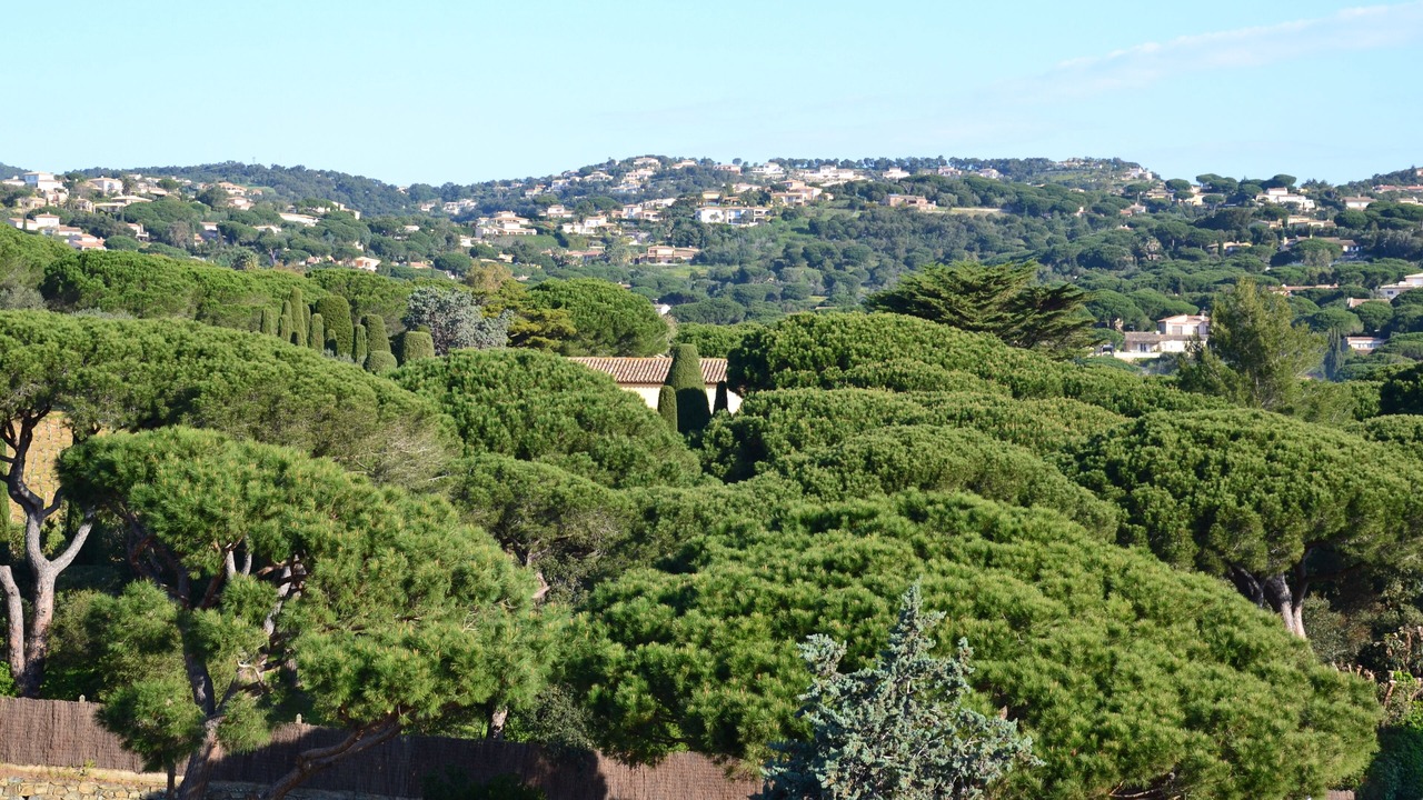 Photo of Outdoor in Sainte-Maxime