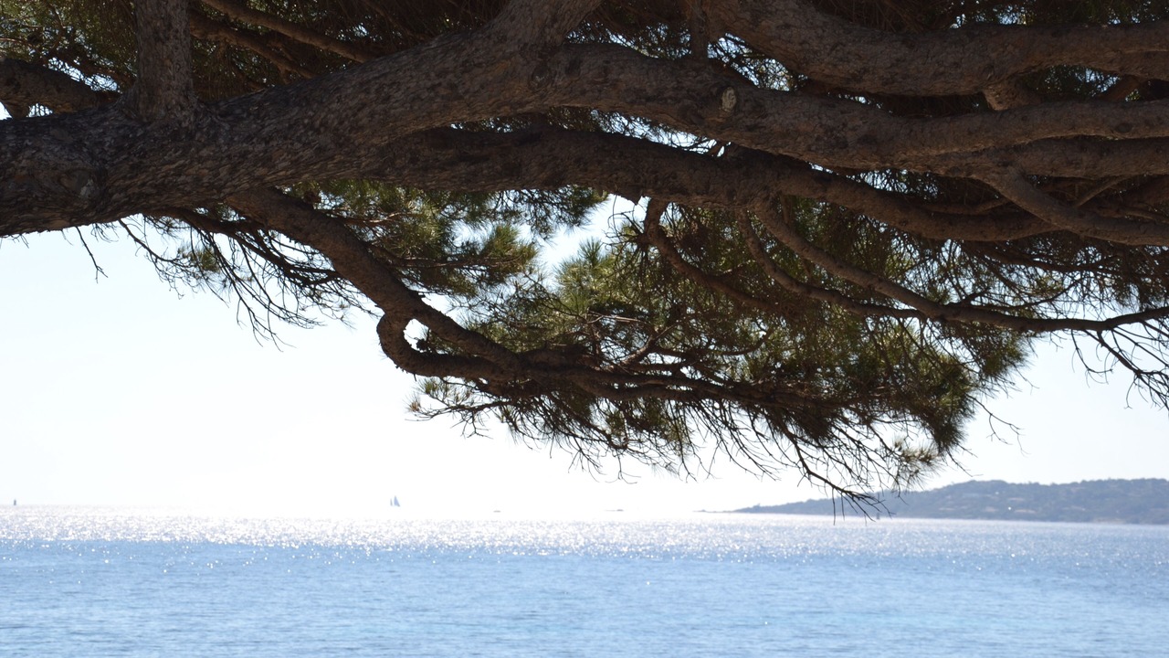 Photo of Others in Sainte-Maxime