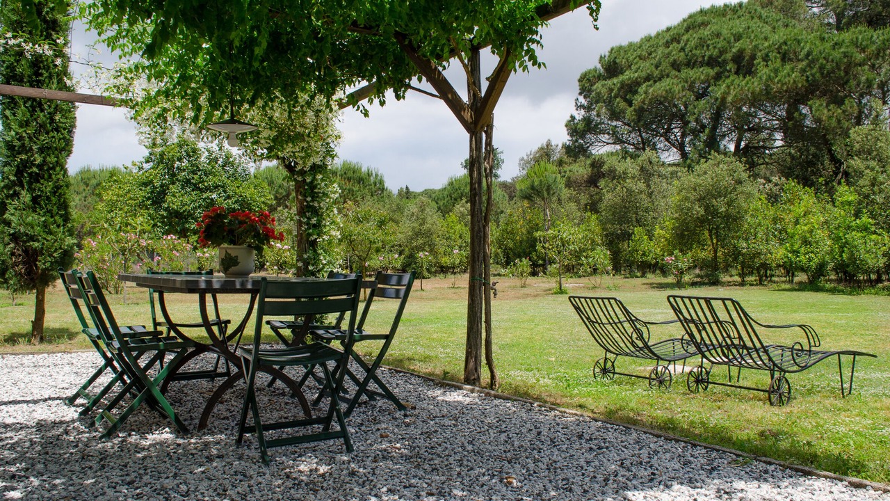 Photo of Outdoor in Vecchiano