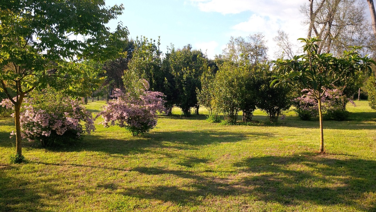 Photo of Outdoor in Vecchiano