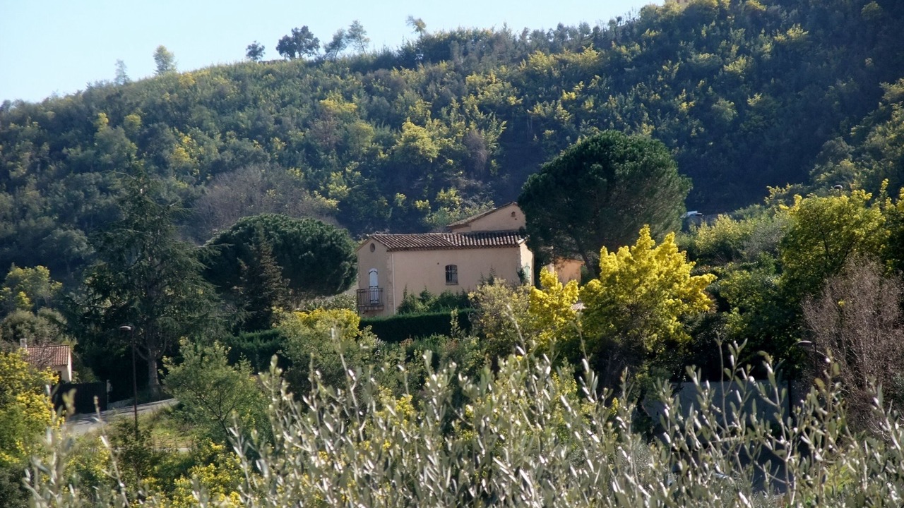 Photo of Outdoor in Tanneron