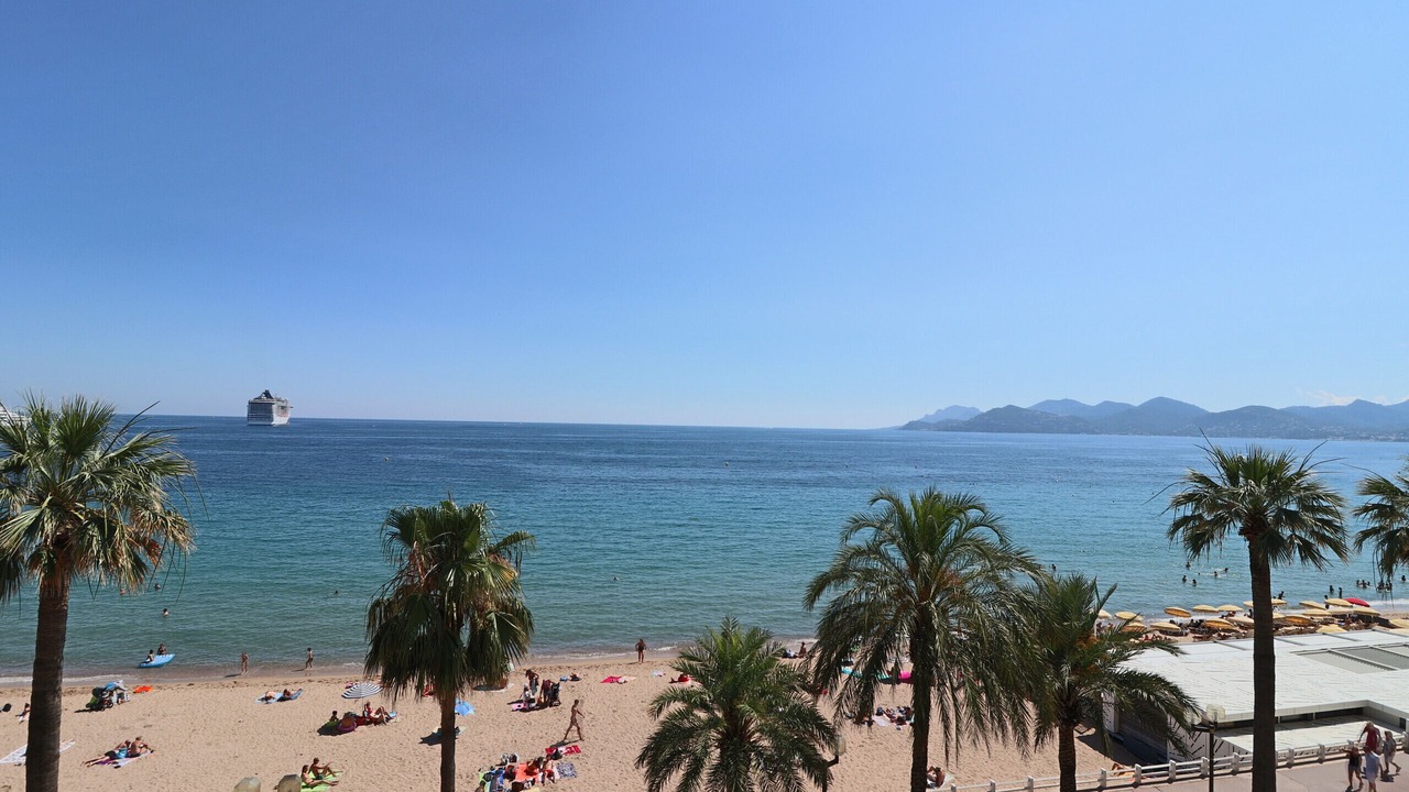 Photo of Others in Cannes City Centre