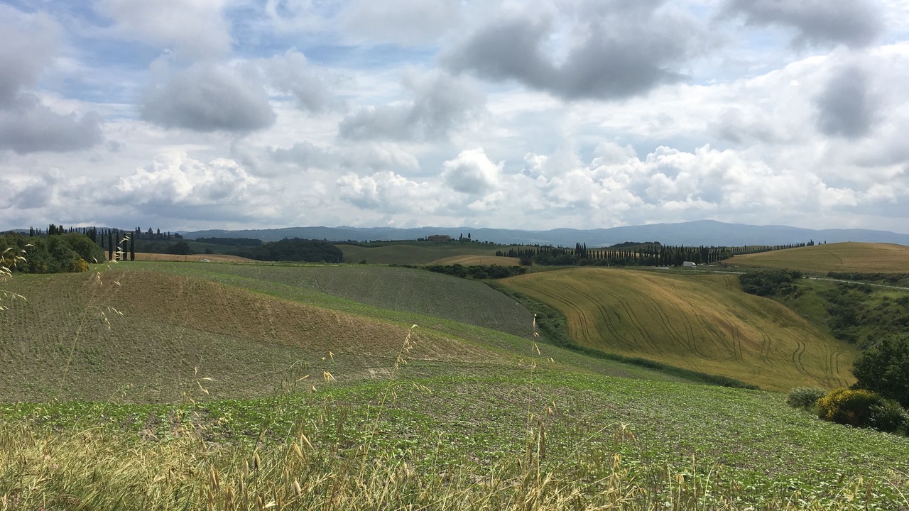 Photo of Others in Castelnuovo Berardenga