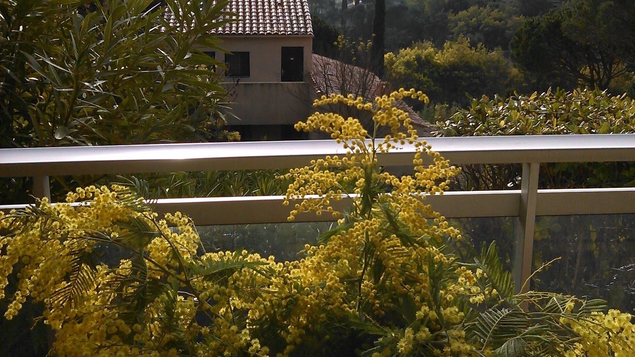 Photo of Outdoor in La Croix-Valmer