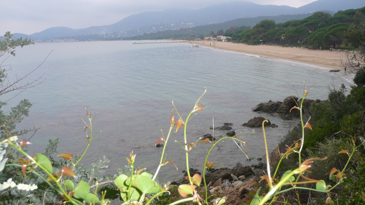 Photo of Others in La Croix-Valmer